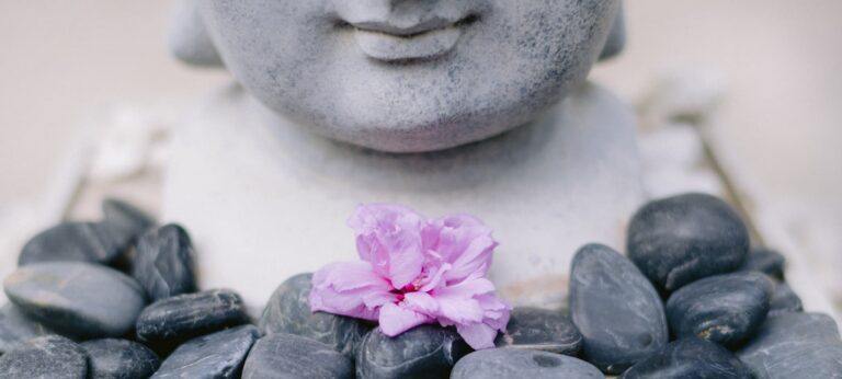 A Buddha statue is arranged with black massage stones and a pink flower.